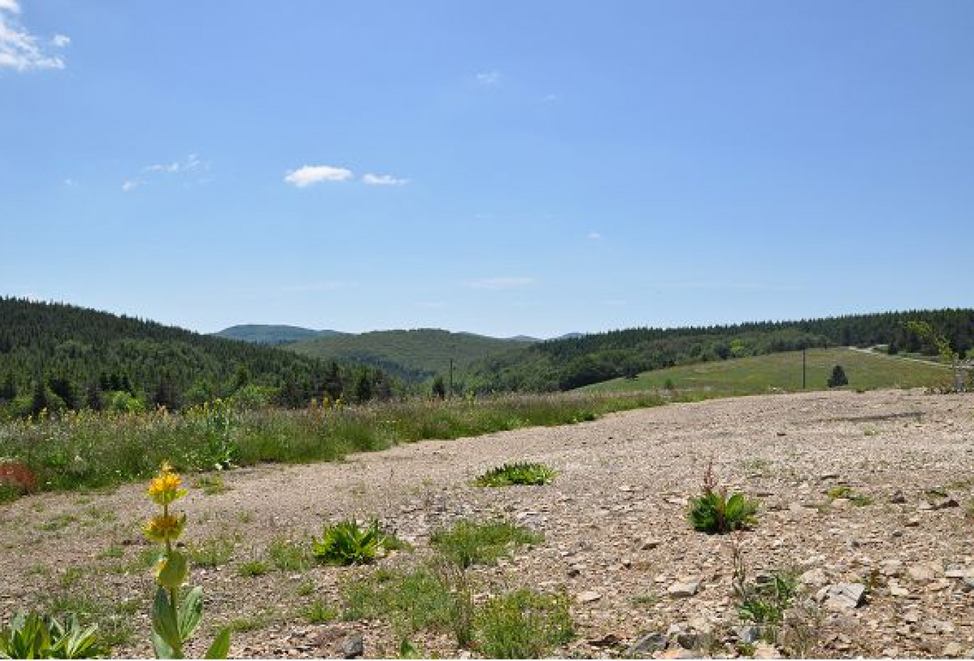 vente Terrain constructible L'esperou - Photo 1