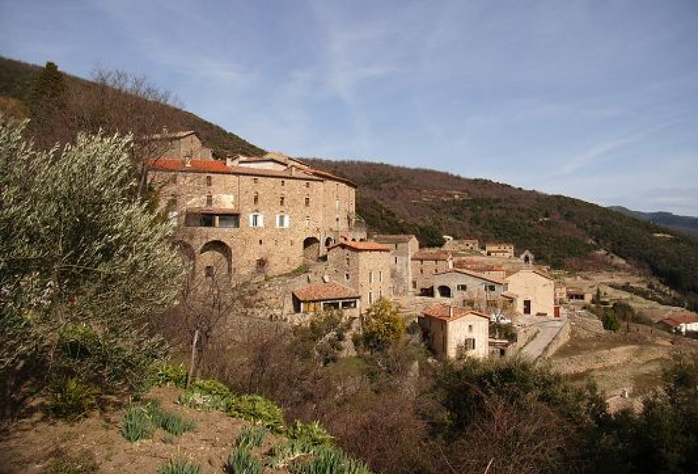 vente Maison en pierre Valleraugue - Photo 5