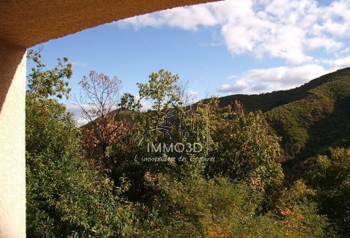 vente Maison Valleraugue - Photo 4