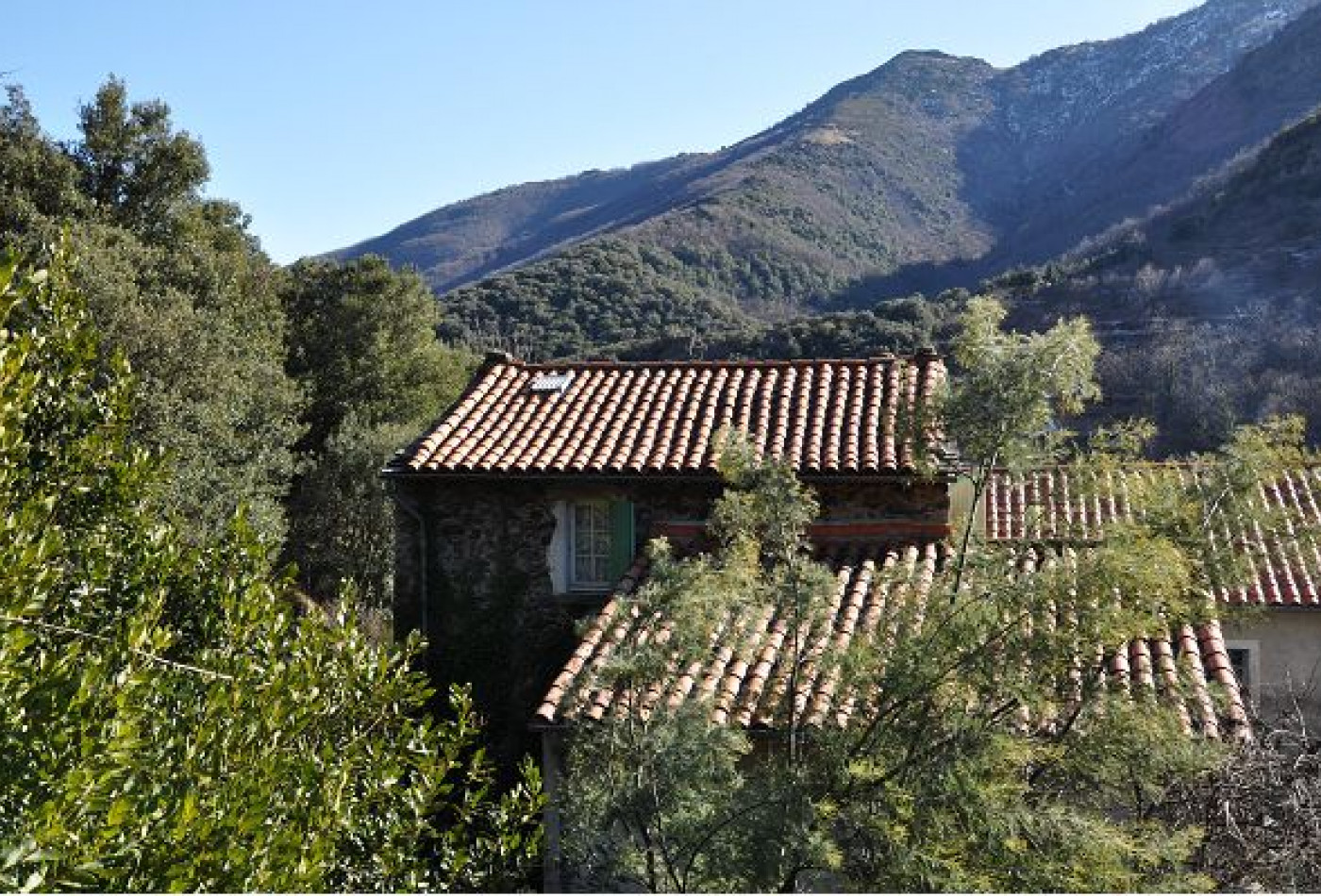 vente Maison de campagne Valleraugue - Photo 1