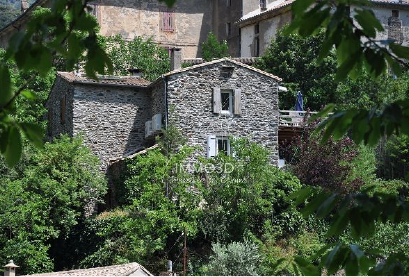 vente Maison Valleraugue - Photo 1