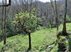 vente Maison de campagne Valleraugue