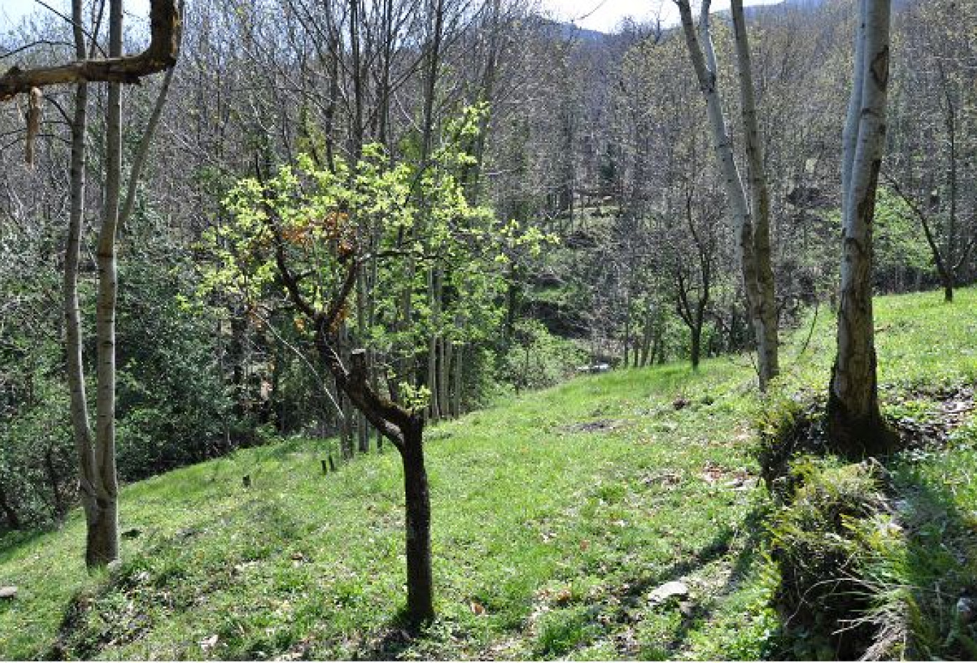 vente Maison de campagne Valleraugue - Photo 6