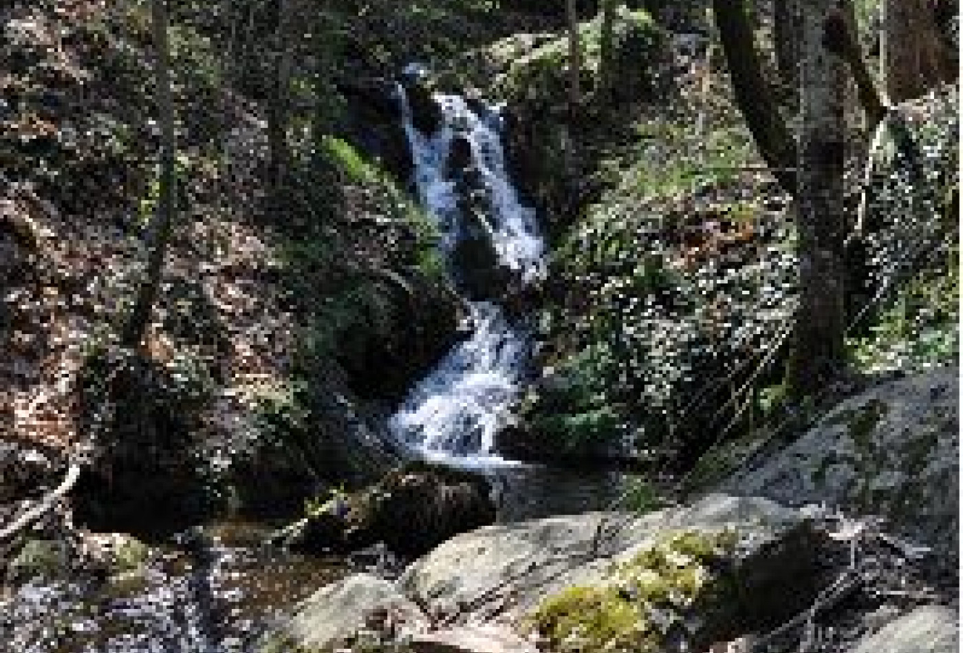 vente Maison de campagne Valleraugue - Photo 7