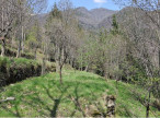vente Maison de campagne Valleraugue
