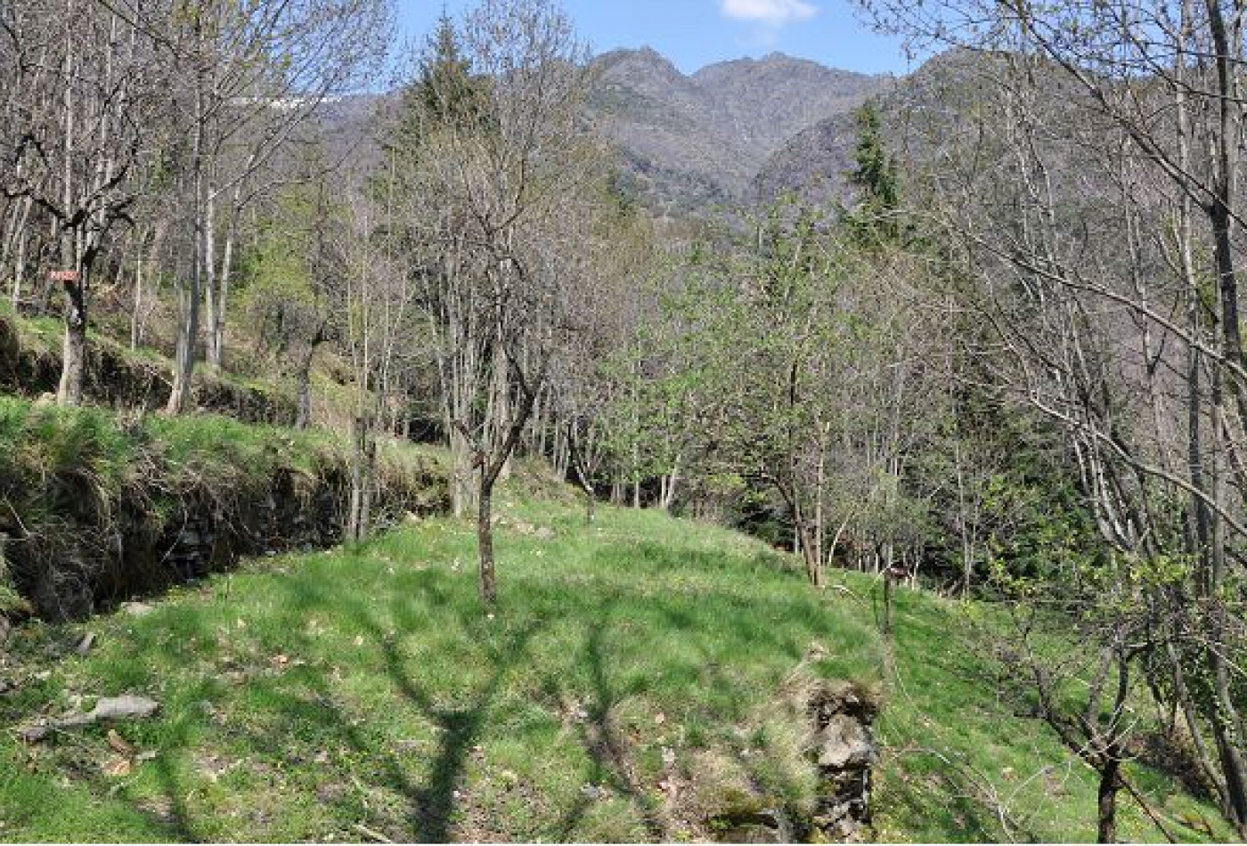 vente Maison de campagne Valleraugue - Photo 2