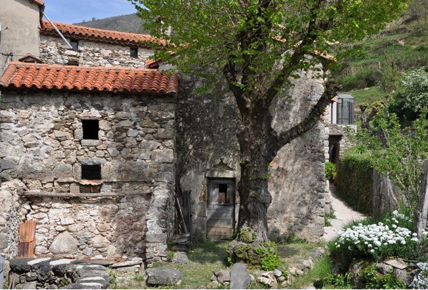 vente Maison en pierre Valleraugue - Photo 1