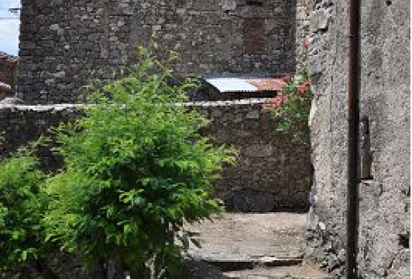 vente Maison en pierre Notre Dame De La Rouviere - Photo 5