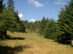 vente Maison Saint Sauveur Camprieu