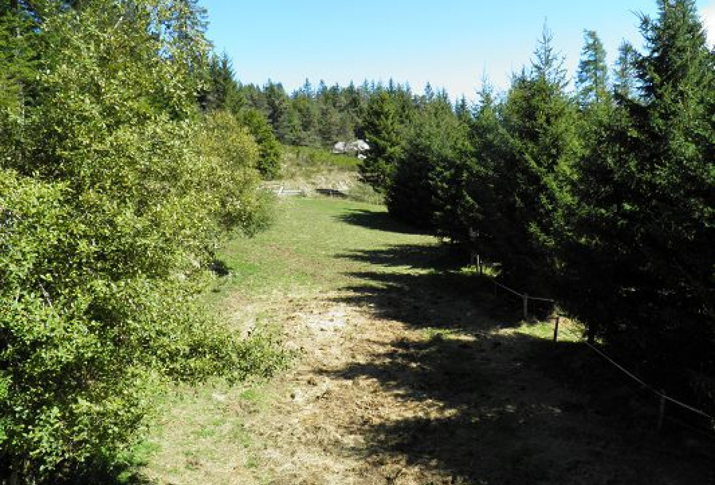 vente Maison Saint Sauveur Camprieu - Photo 4