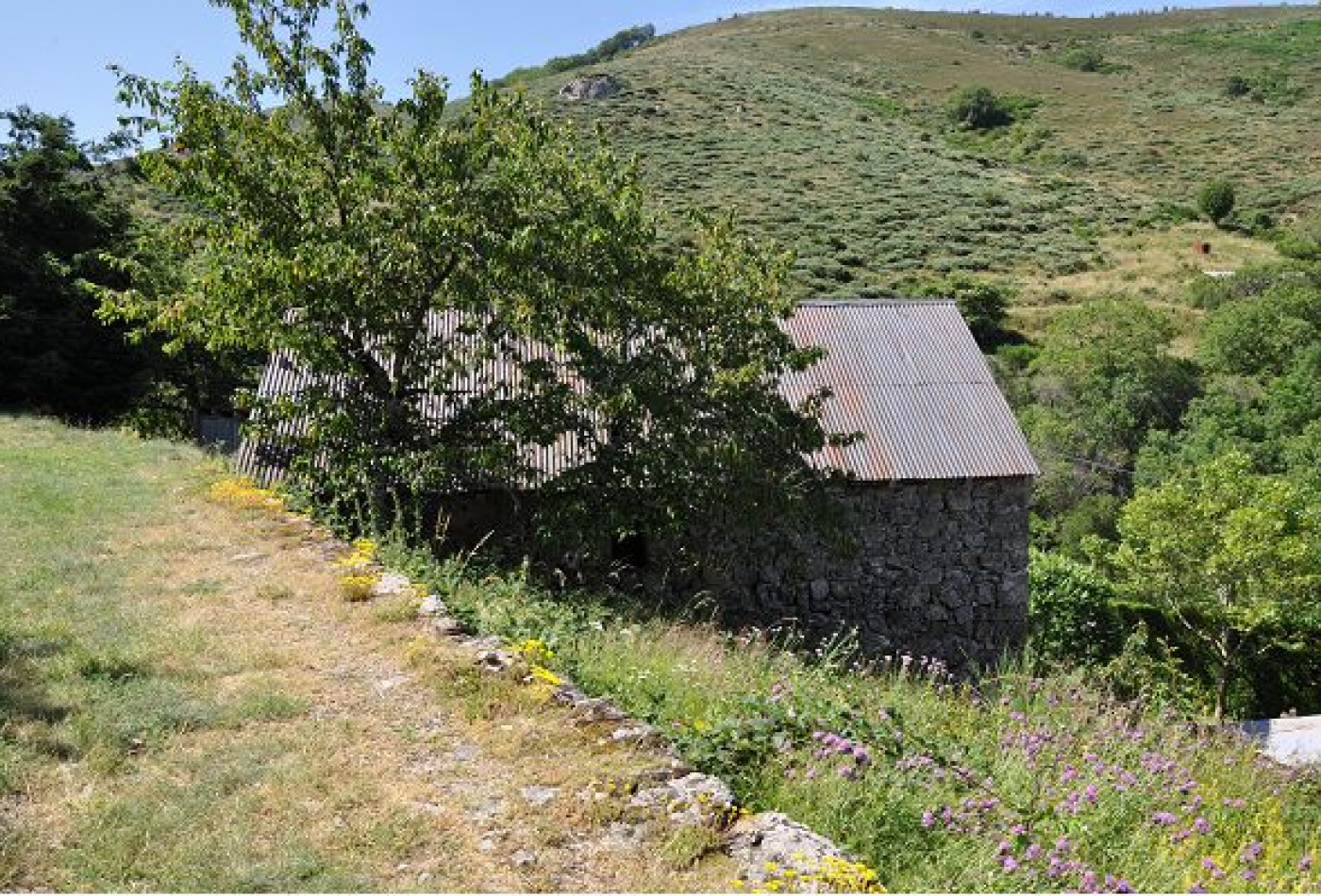 vente Grange Treves - Photo 5