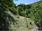 vente Grange Treves