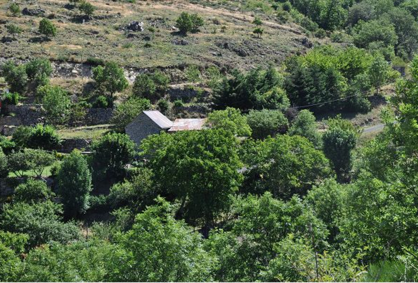 vente Grange Treves - Photo 6