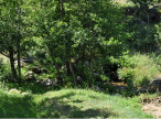 vente Grange Treves