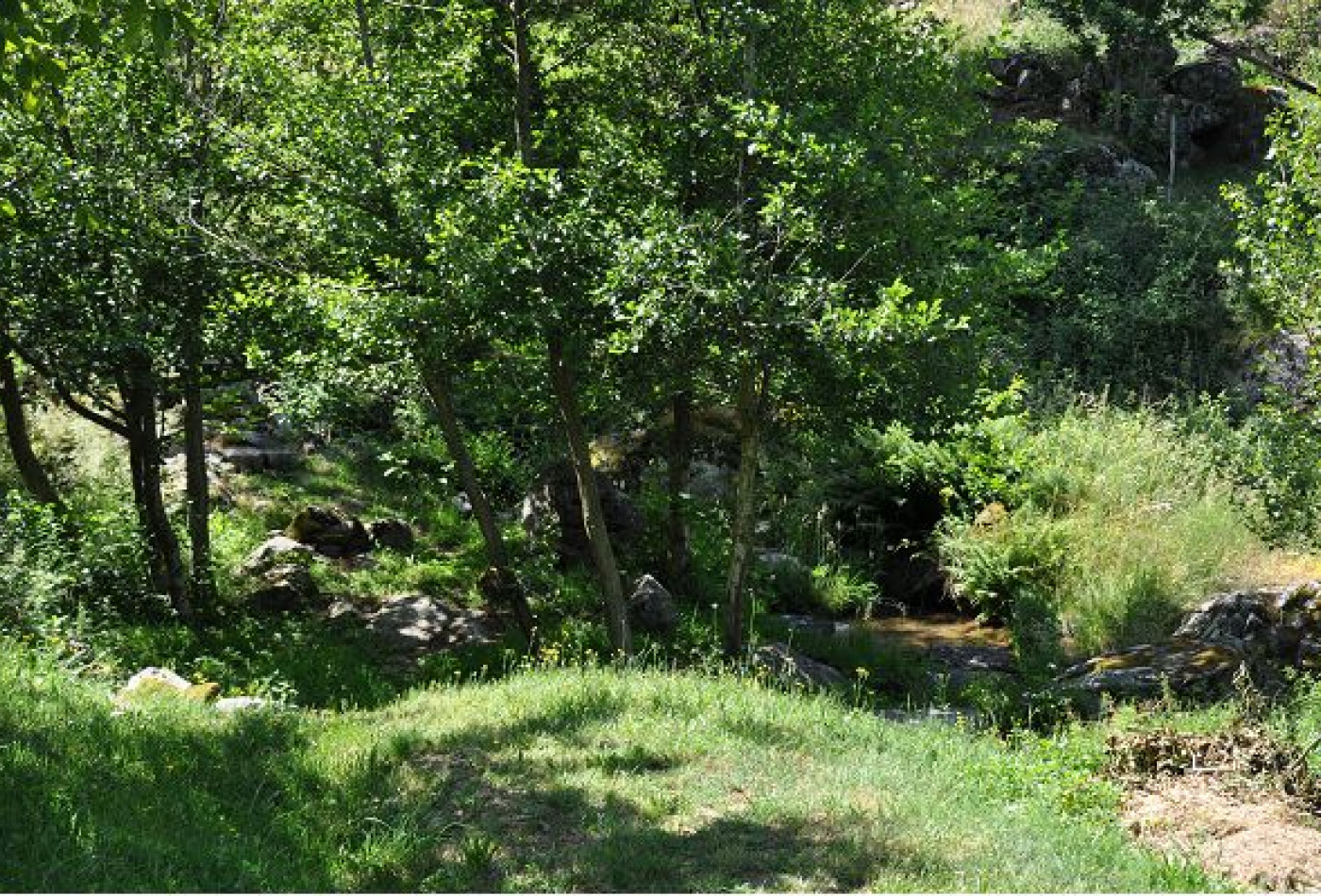 vente Grange Treves - Photo 7