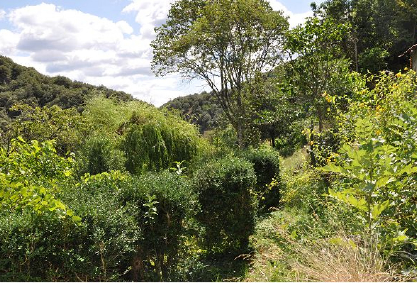 vente Maison en pierre Valleraugue - Photo 3
