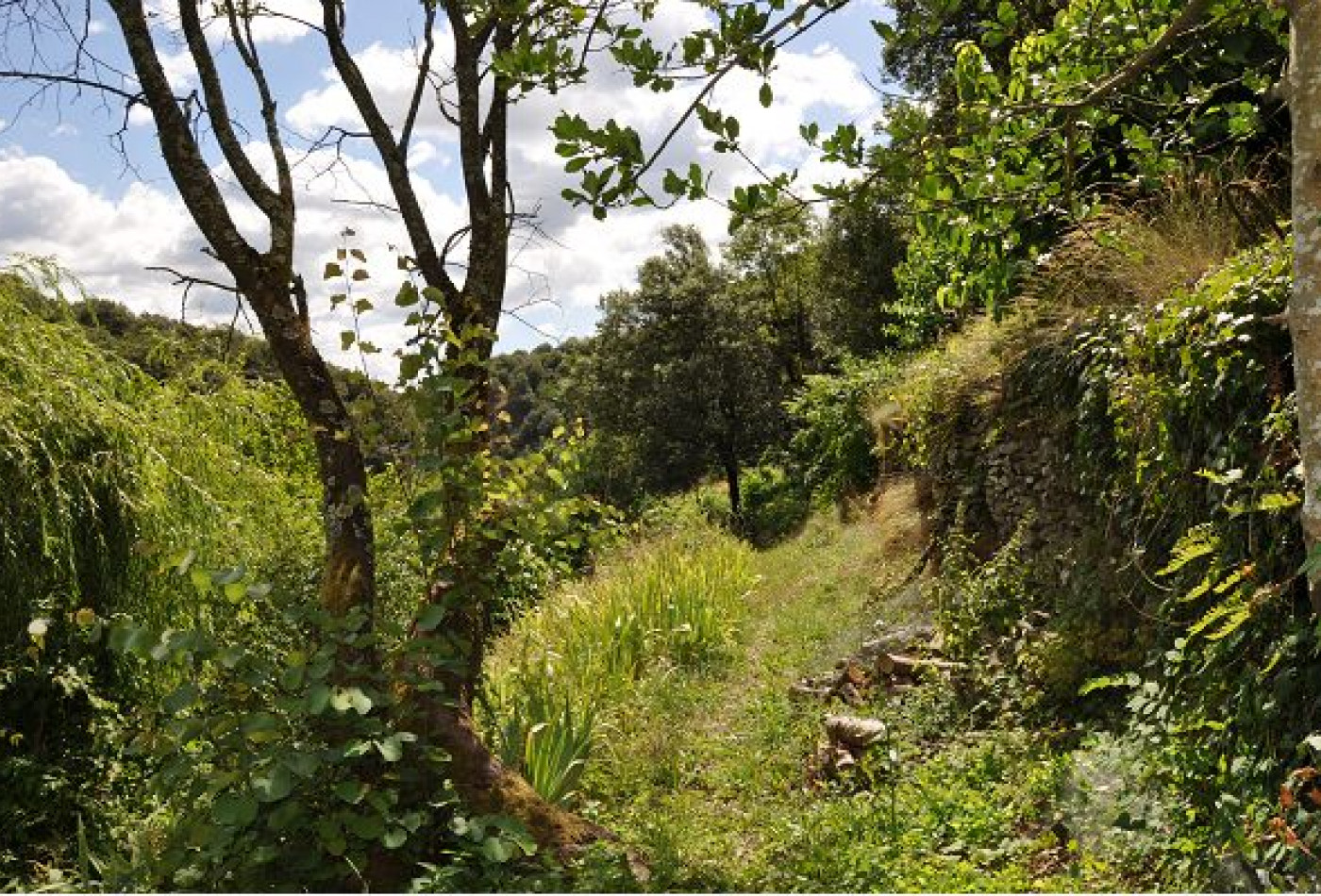 vente Maison en pierre Valleraugue - Photo 4