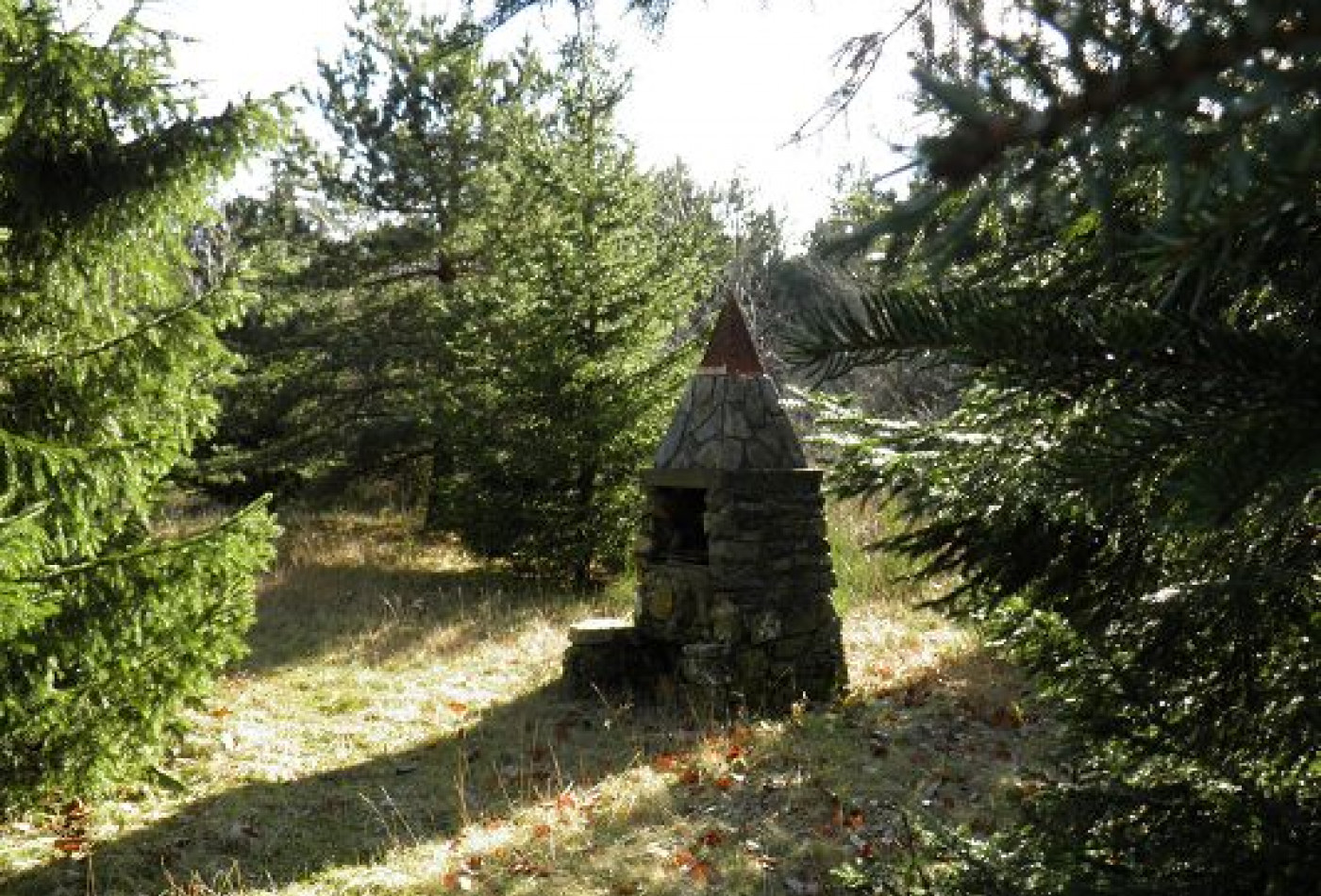 vente Chalet Saint Sauveur Camprieu - Photo 6
