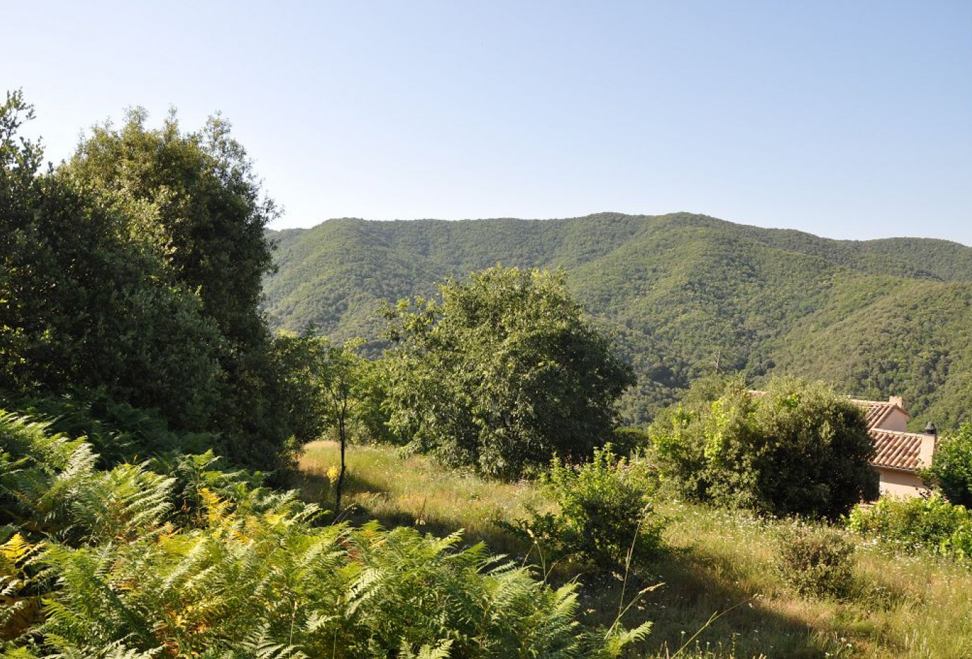 vente Terrain constructible Notre Dame De La Rouviere - Photo 6
