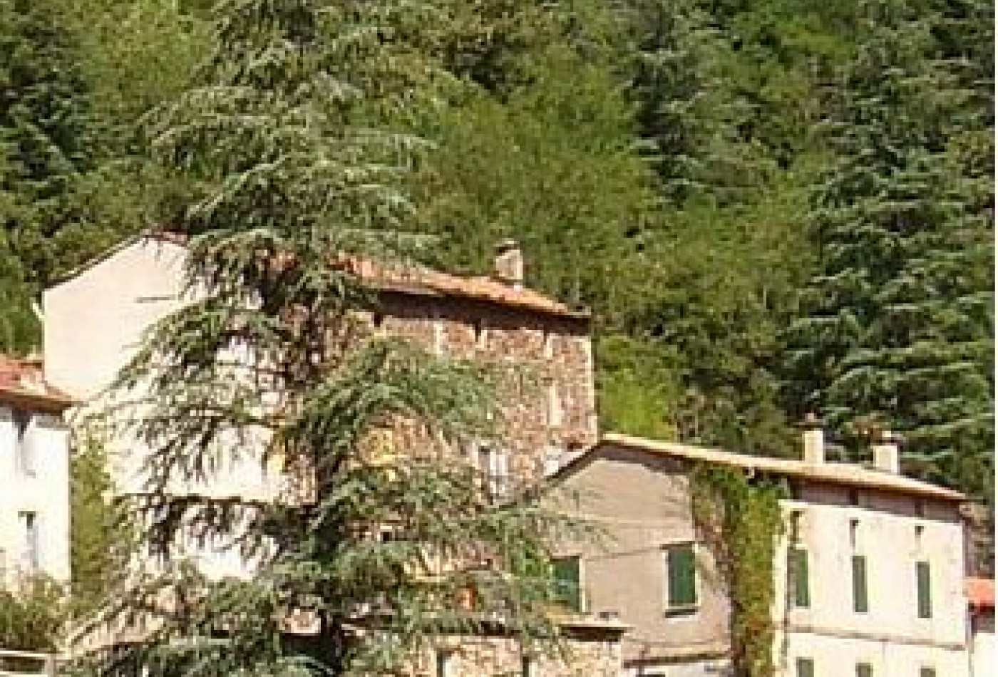 vente Maison de campagne Valleraugue - Photo 1