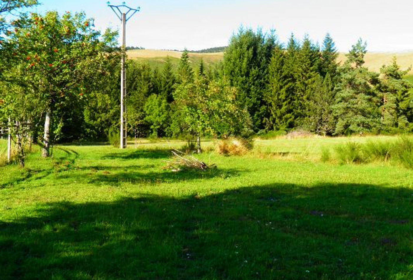 vente Chalet Saint Sauveur Camprieu - Photo 8