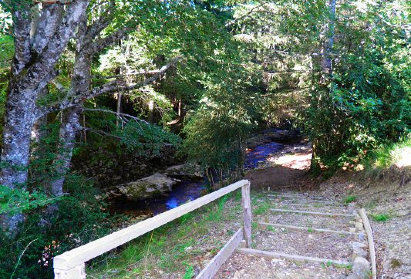 vente Chalet Saint Sauveur Camprieu - Photo 10