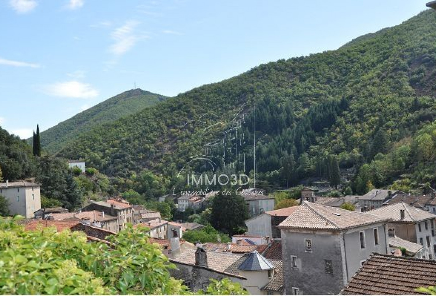sale Maison Valleraugue - Photo 3