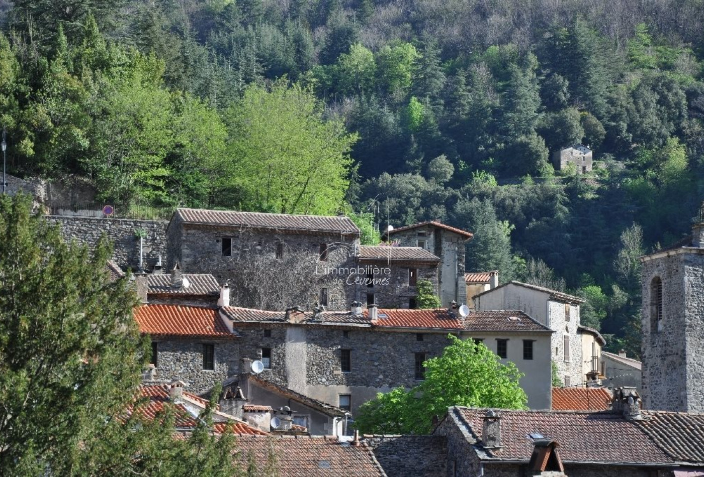 sale Maison Valleraugue - Photo 1