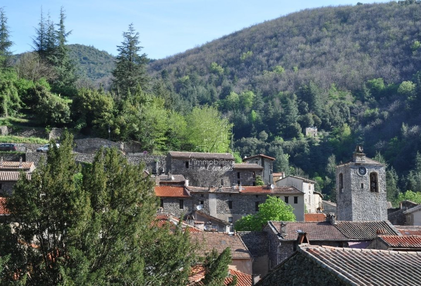 sale Maison Valleraugue - Photo 2