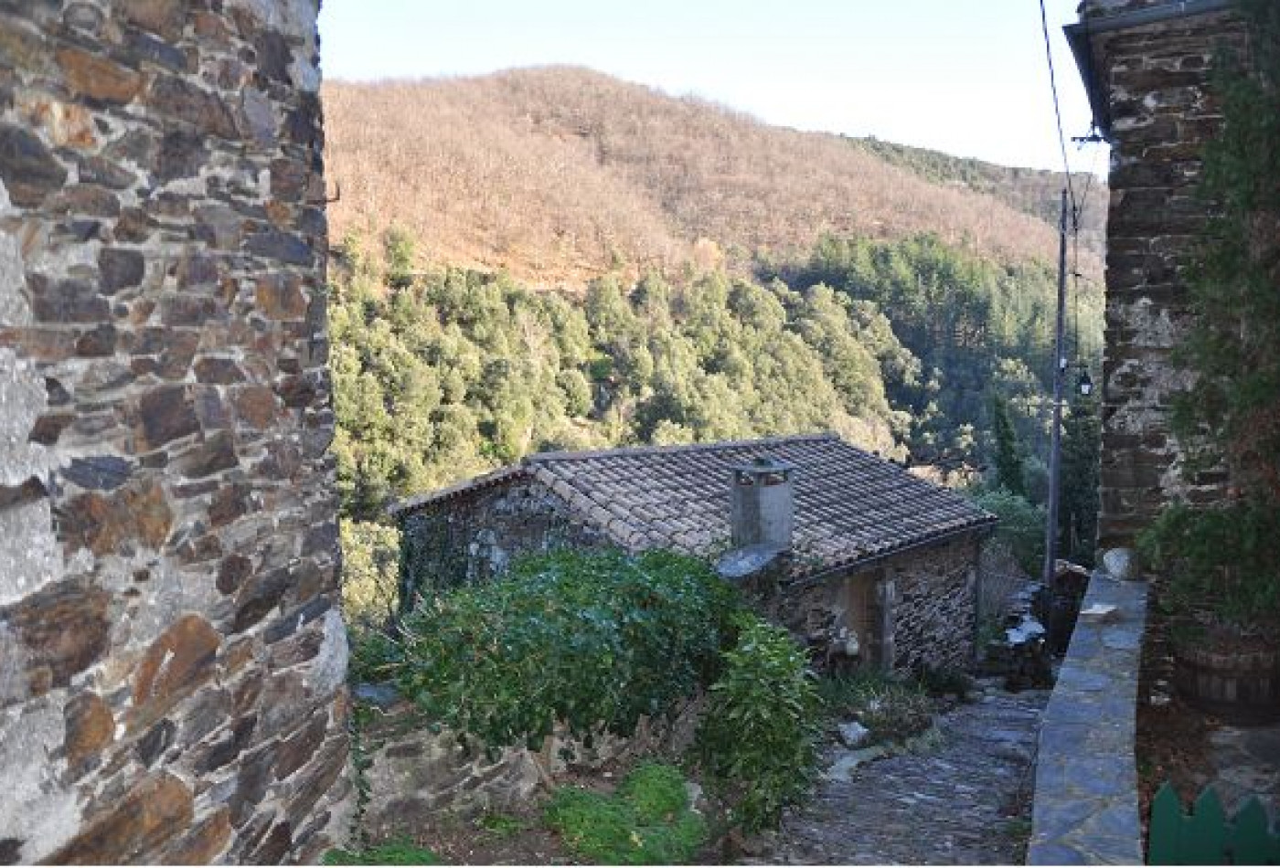 vente Maison Saint Martial - Photo 6