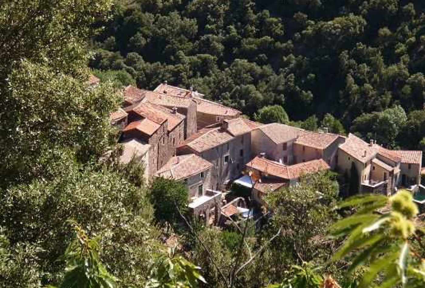 vente Maison Saint Martial - Photo 1