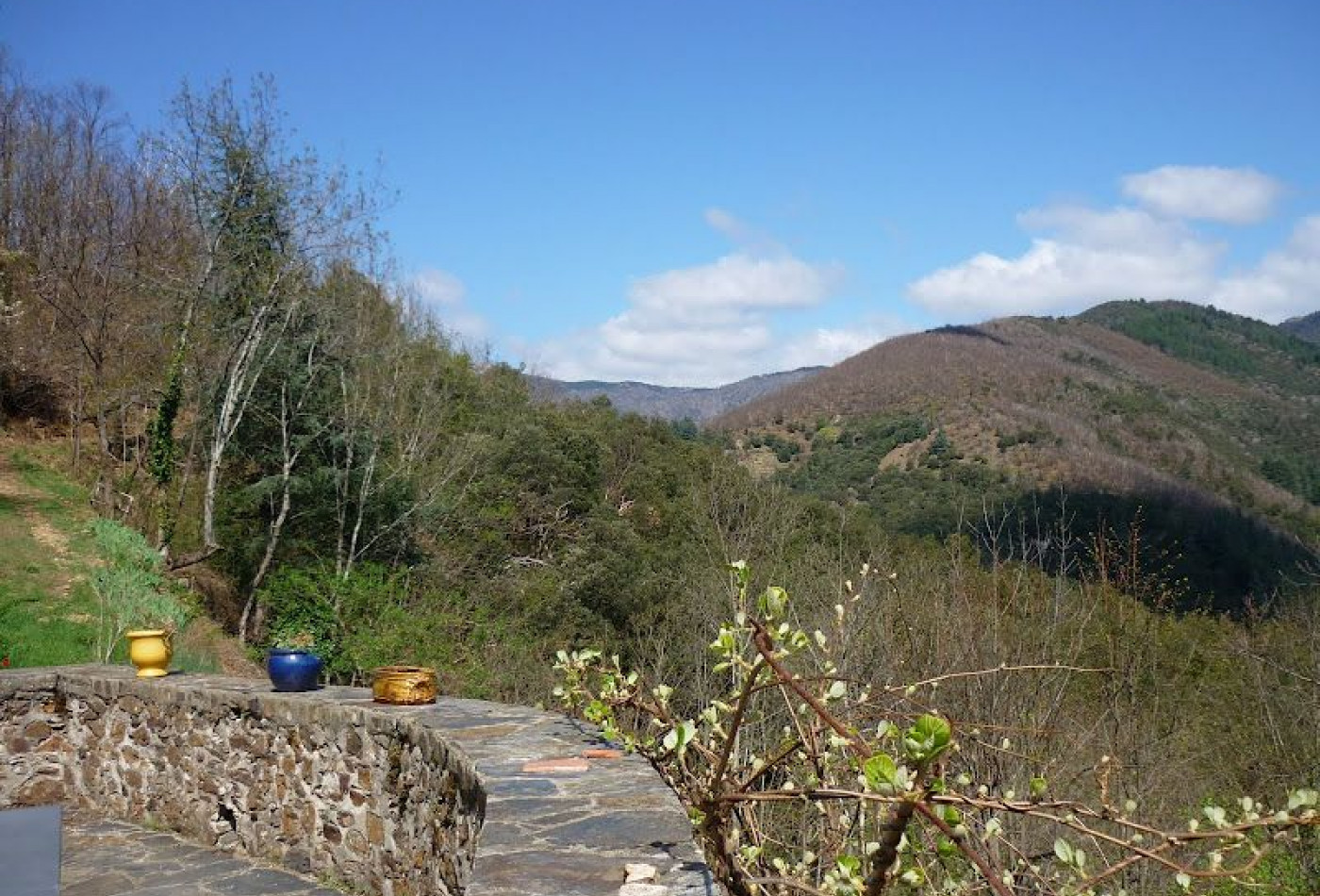 vente Maison Valleraugue - Photo 4