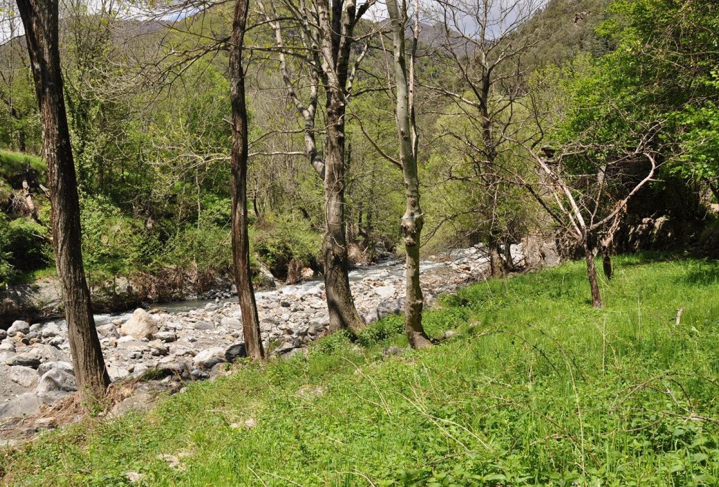 vente Maison de campagne Valleraugue - Photo 6