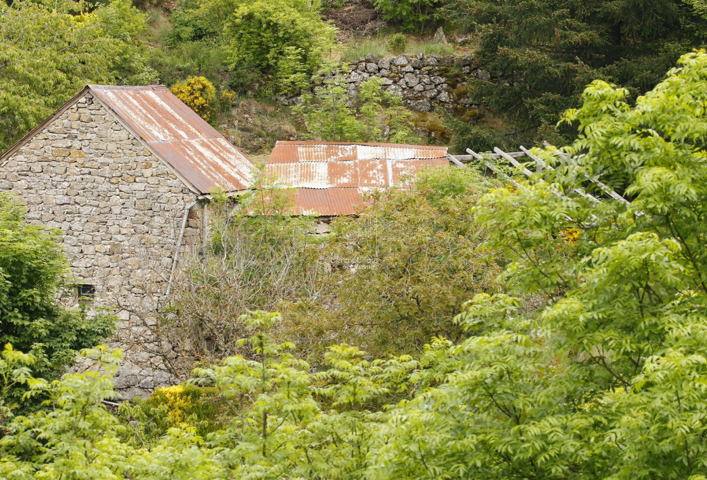 sale Maison Treves - Photo 3