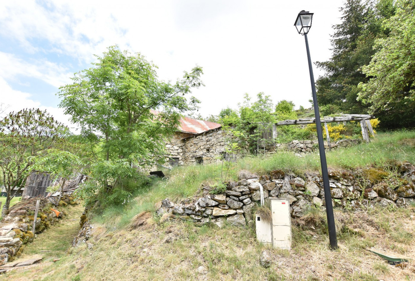 sale Maison Treves - Photo 4