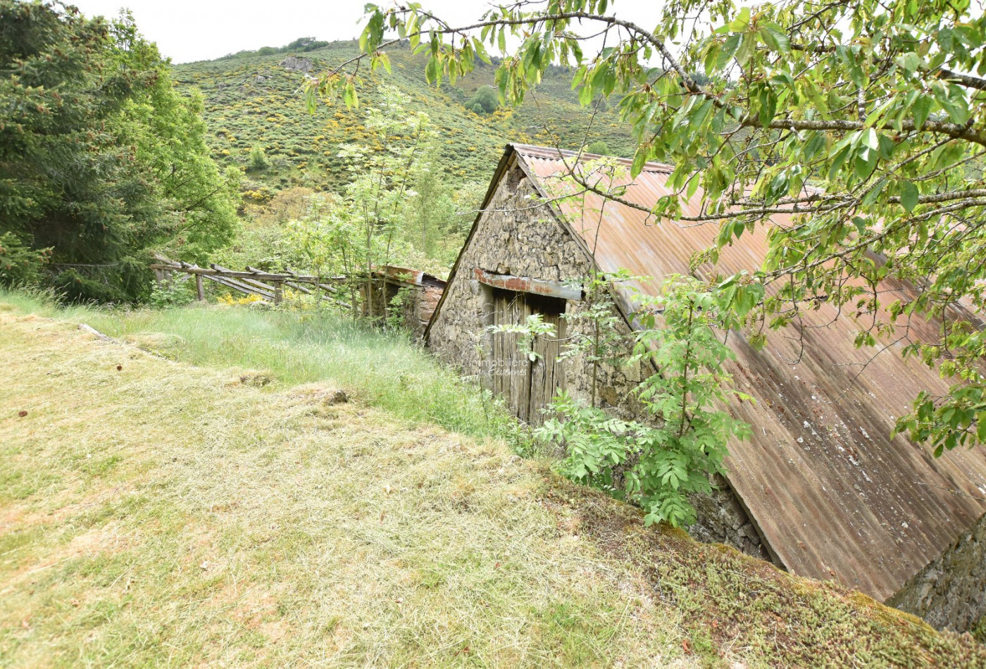 sale Maison Treves - Photo 5