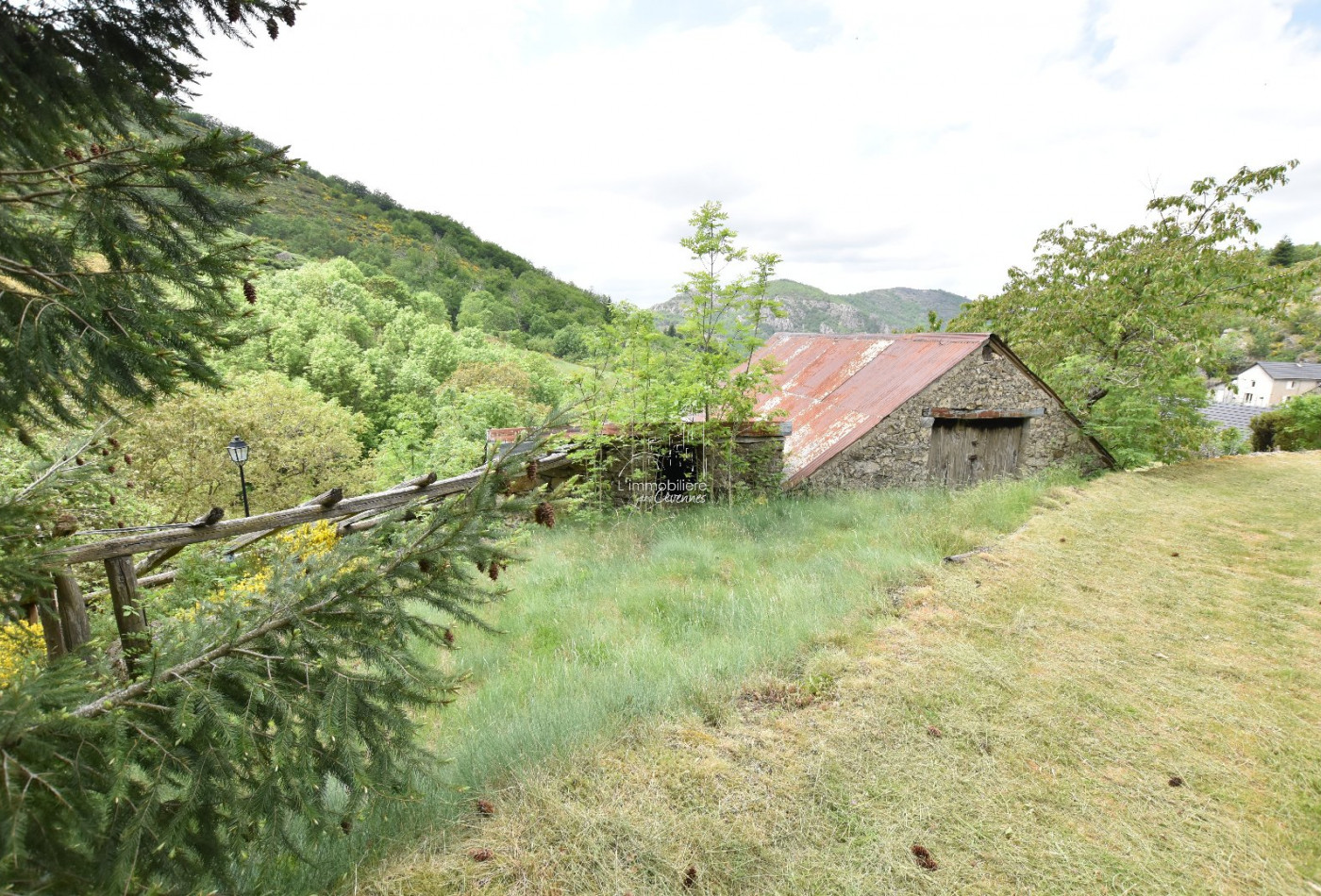 sale Maison Treves - Photo 6