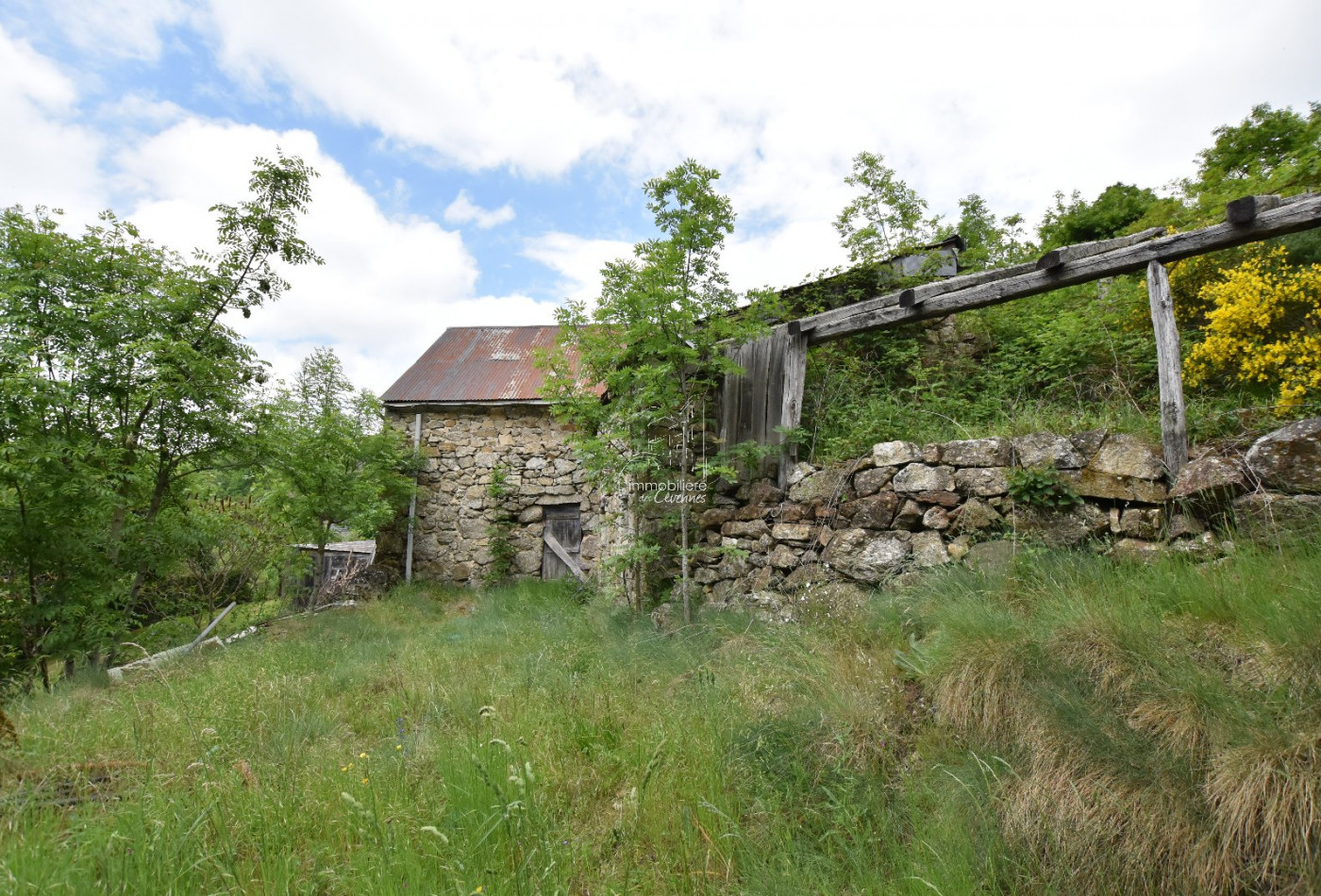 sale Maison Treves - Photo 7