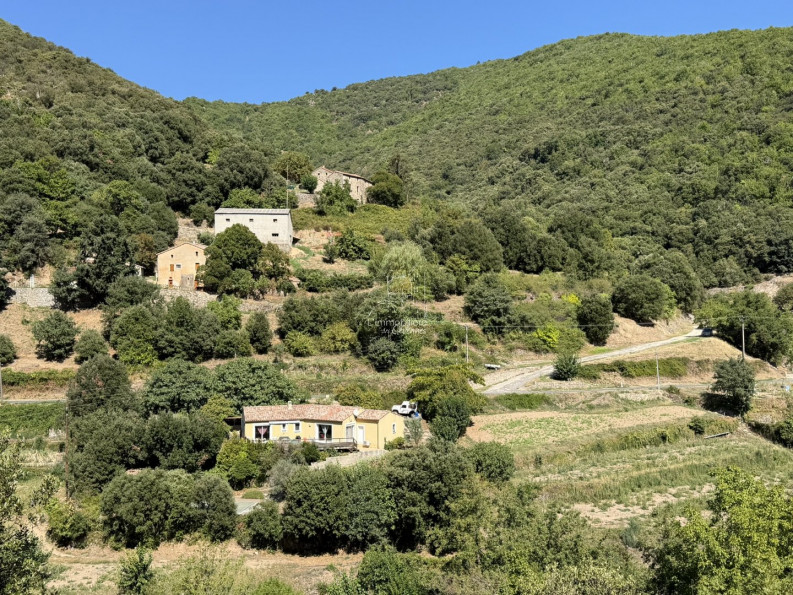vente Maison Val D'aigoual - Photo 1