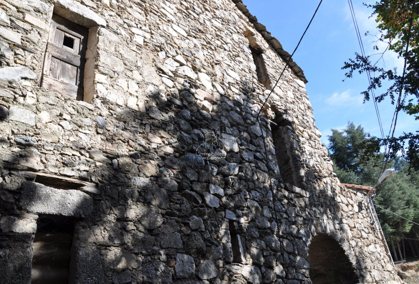 vente Remise en pierre Valleraugue - Photo 6