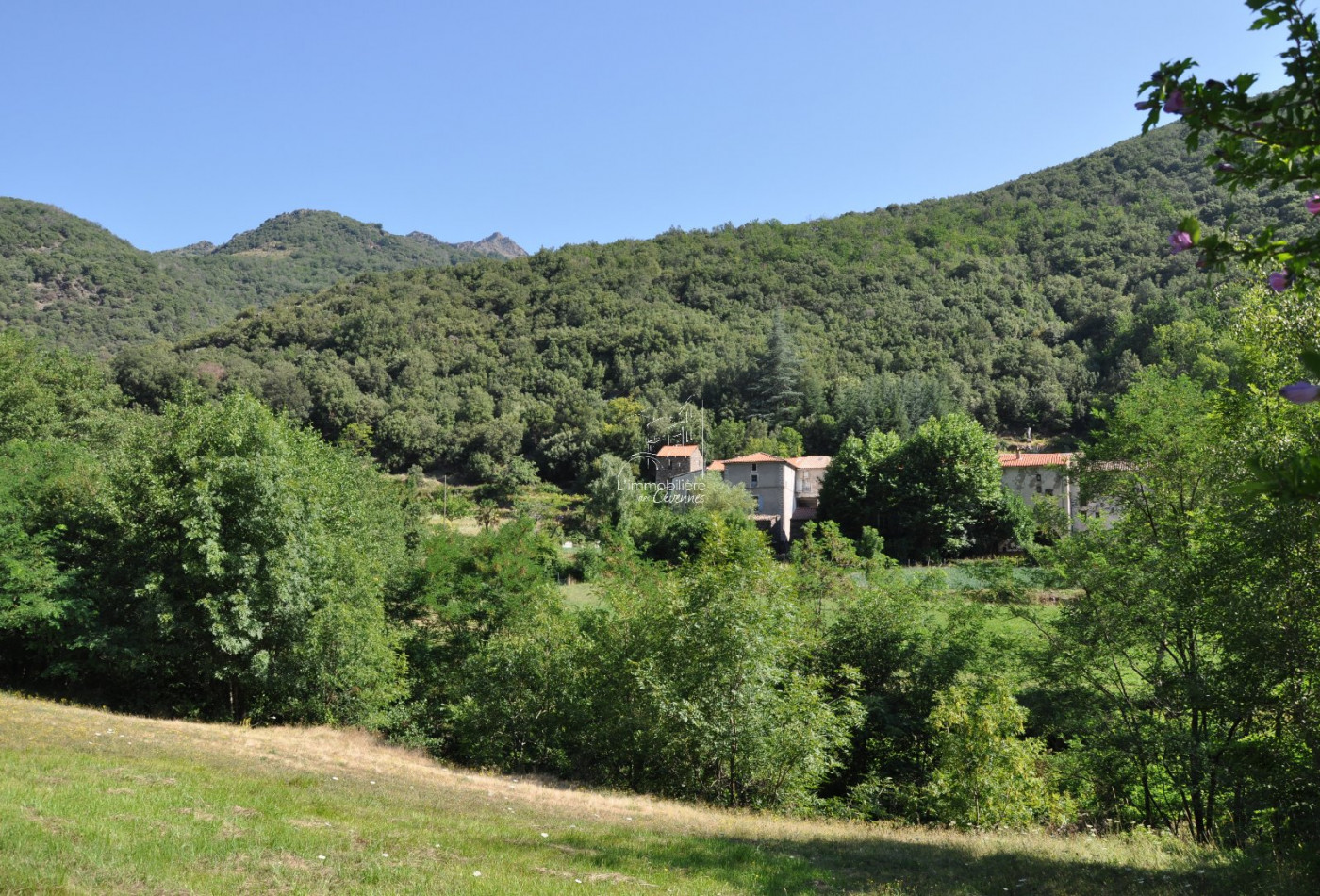 vente Maison Valleraugue - Photo 1