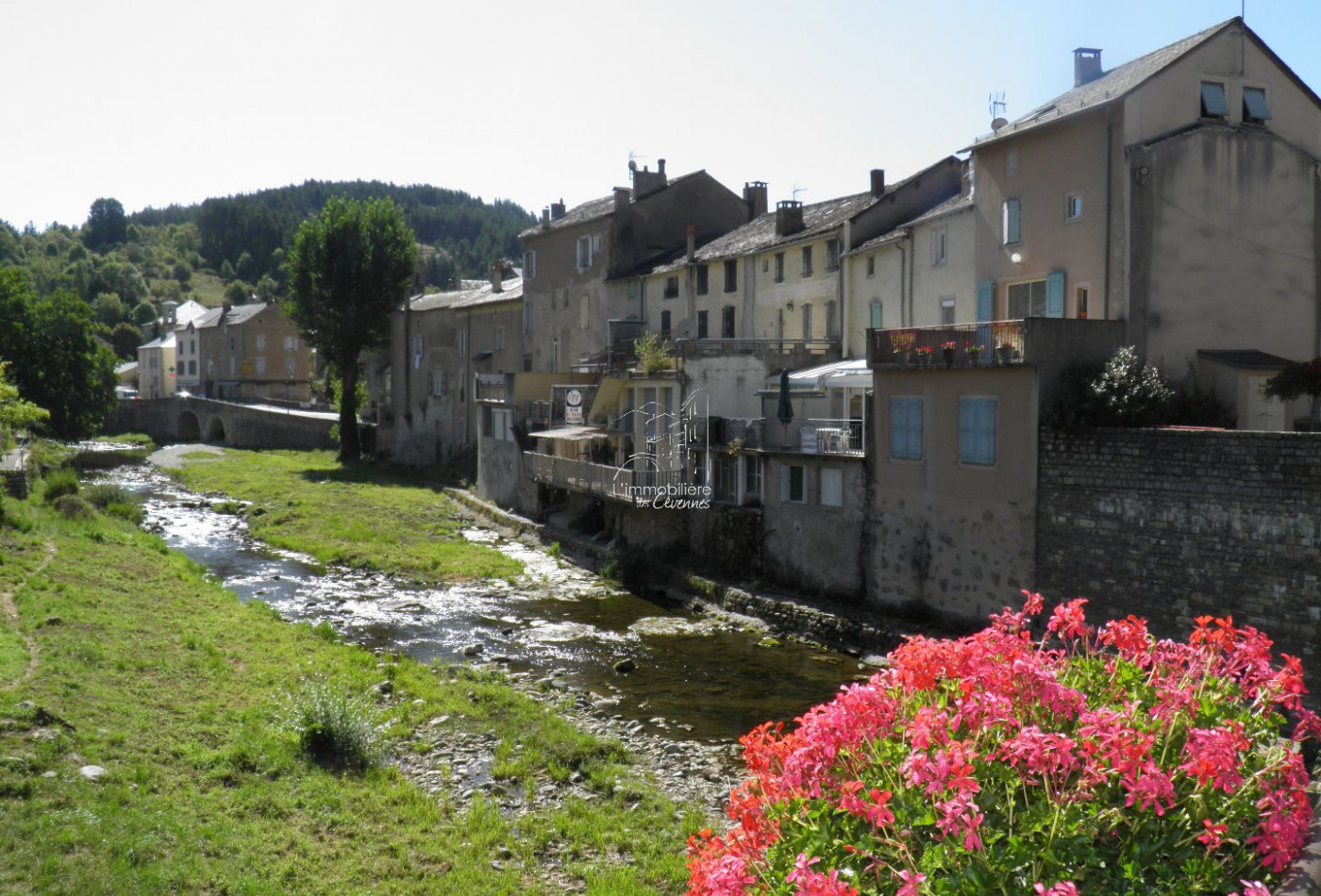 vente Maison de village Meyrueis