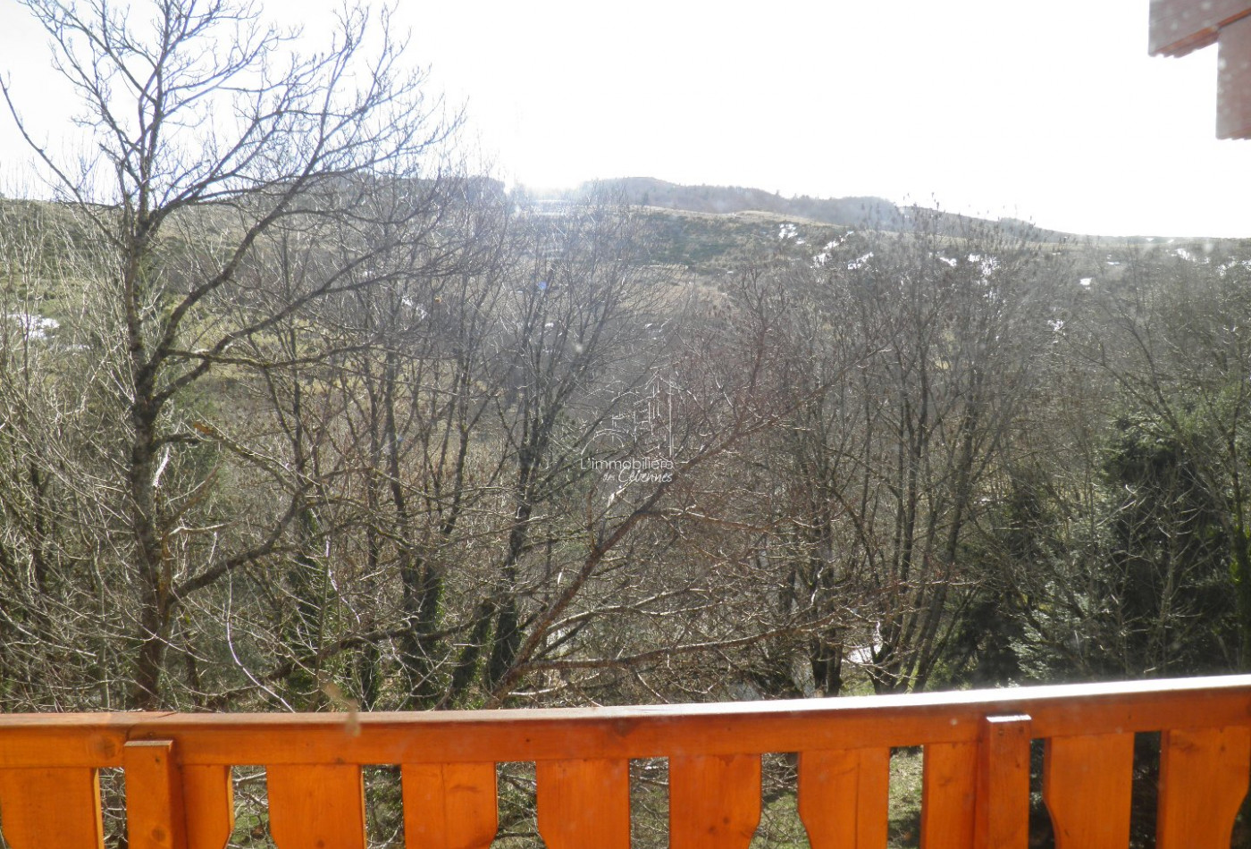 vente Chalet Dourbies - Photo 4