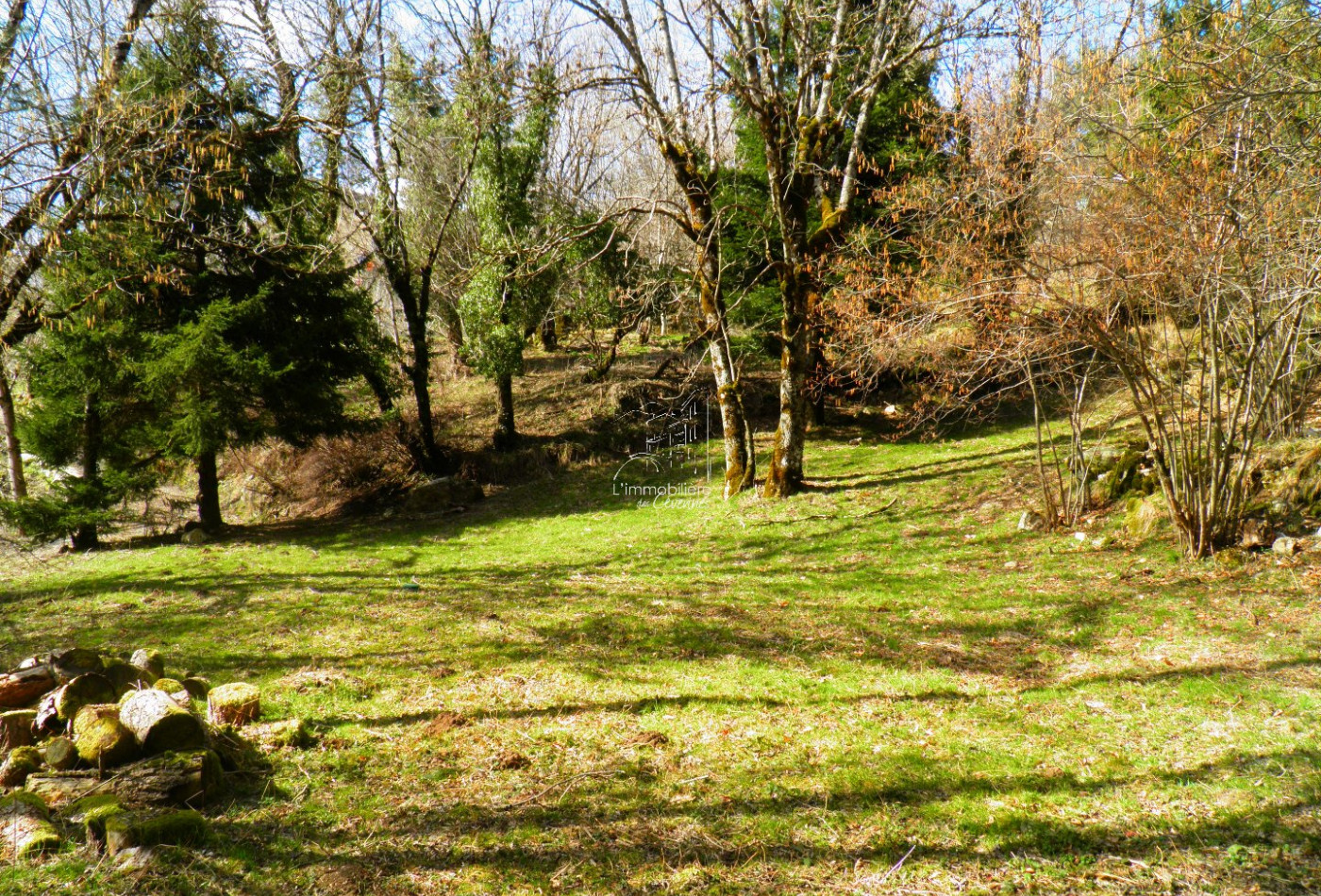 vente Chalet Dourbies - Photo 6