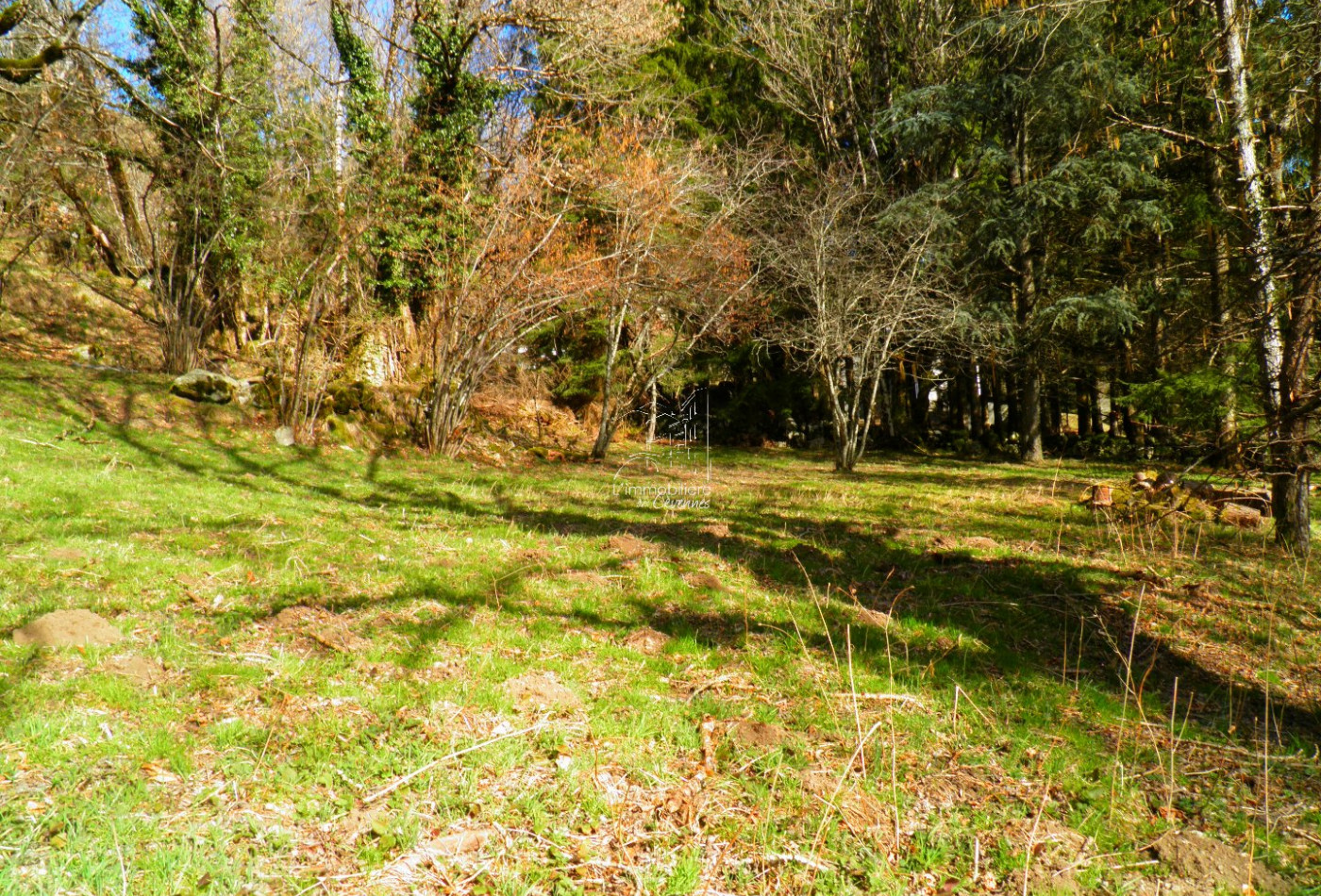 vente Chalet Dourbies - Photo 10