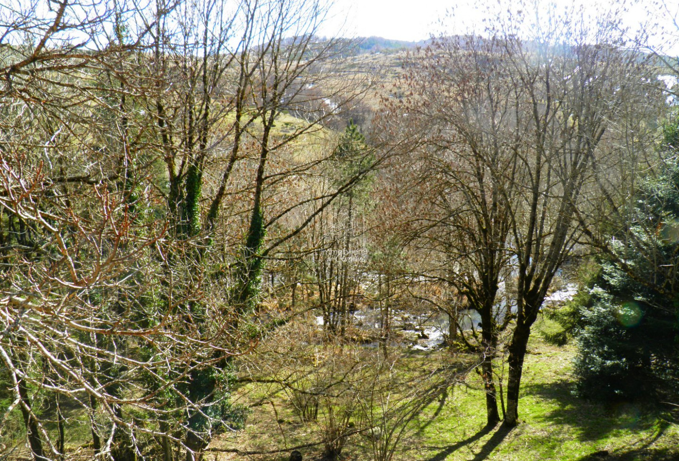 vente Chalet Dourbies - Photo 2