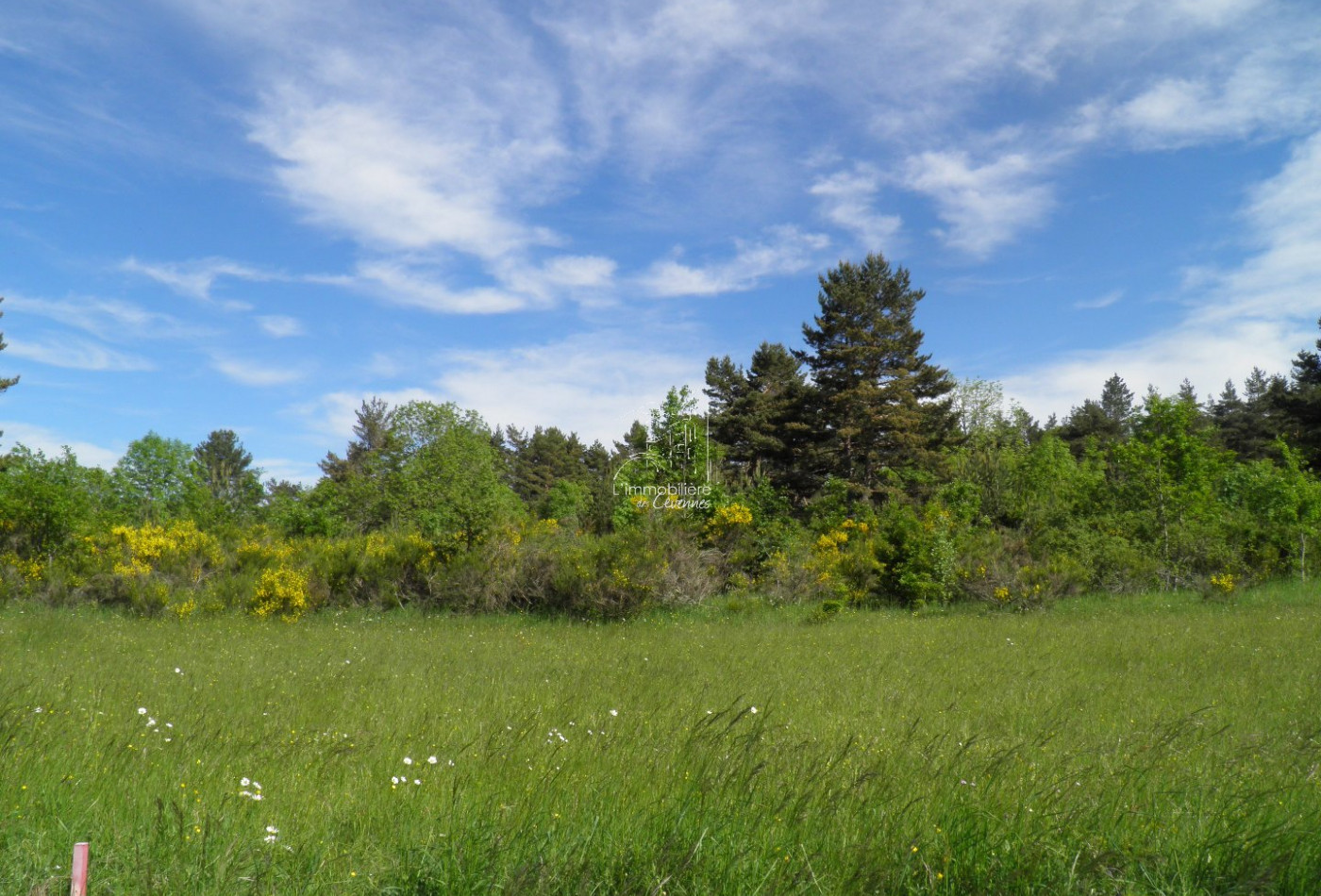 vente Terrain constructible Saint Sauveur Camprieu - Photo 1