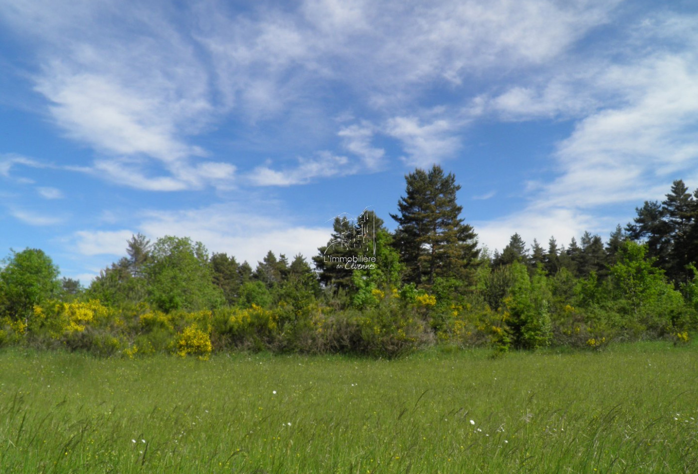 vente Terrain constructible Saint Sauveur Camprieu - Photo 2