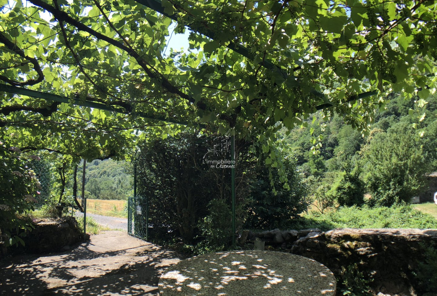 vente Maison Valleraugue - Photo 3