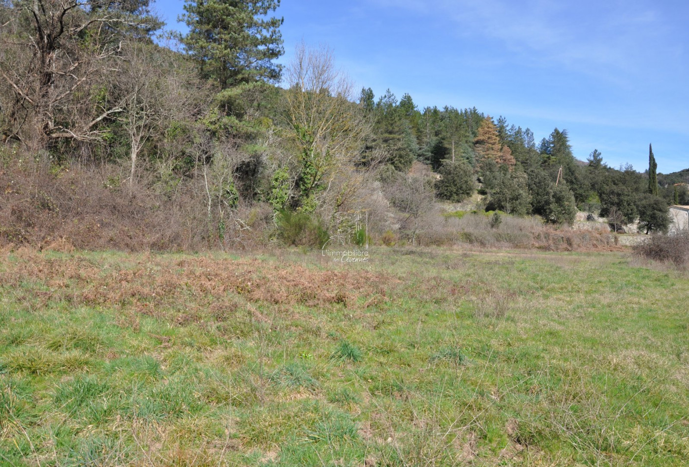 vente Maison Saint Andre De Majencoules - Photo 4